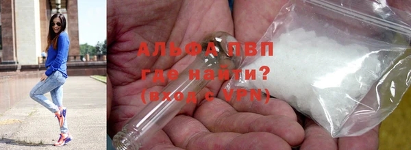стаф Гусев