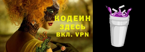 a pvp Гусь-Хрустальный