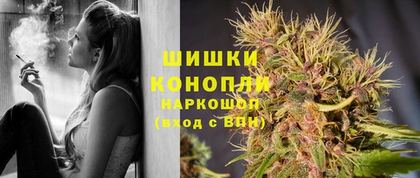 дурь Горно-Алтайск