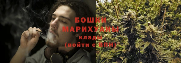 стаф Гусев