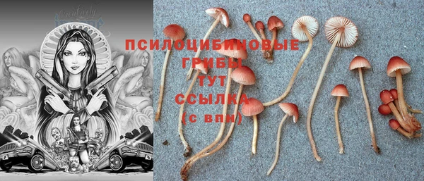 a pvp Гусь-Хрустальный